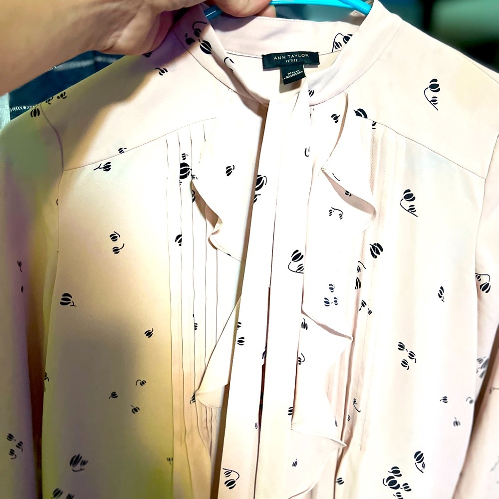 Ann Taylor Blouse